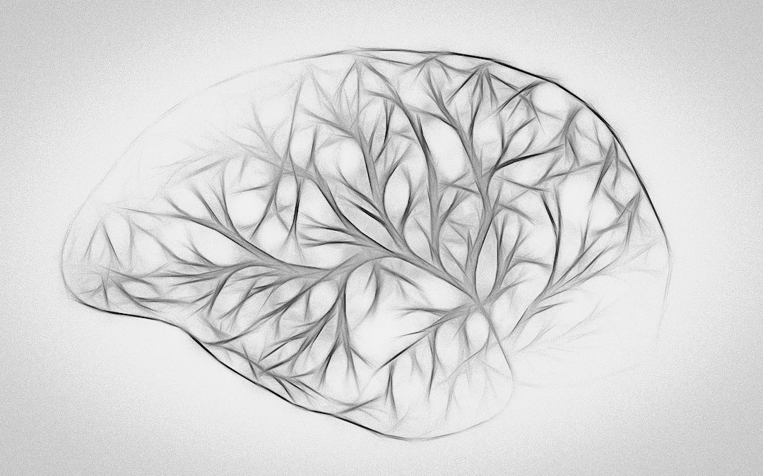 Your Brain Doesn’t Want You To Be Creative